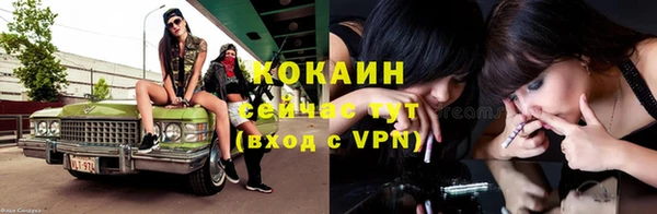 PSILOCYBIN Беломорск