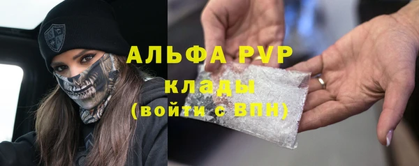 PSILOCYBIN Беломорск