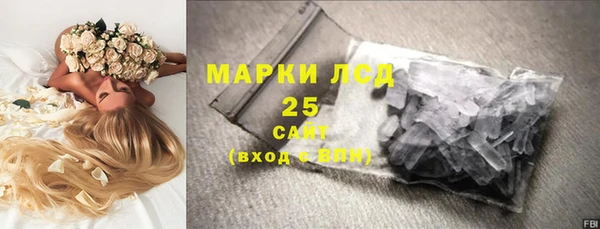 PSILOCYBIN Беломорск